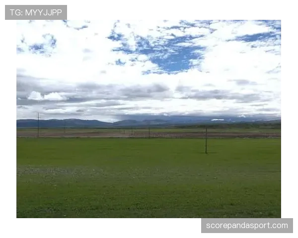 人工草场是否影响比赛判罚?规则如何界定场地合规性 人工草场是否影响比赛判罚?规则如何界定场地合规性