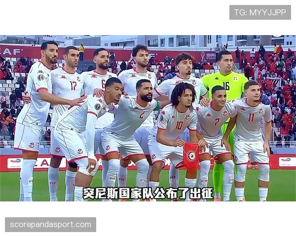 突尼斯能否重返2026世界杯赛场?非洲劲旅冲击美加墨决赛圈前景分析 突尼斯能否重返2026世界杯赛场?非洲劲旅冲击美加墨决赛圈前景分析