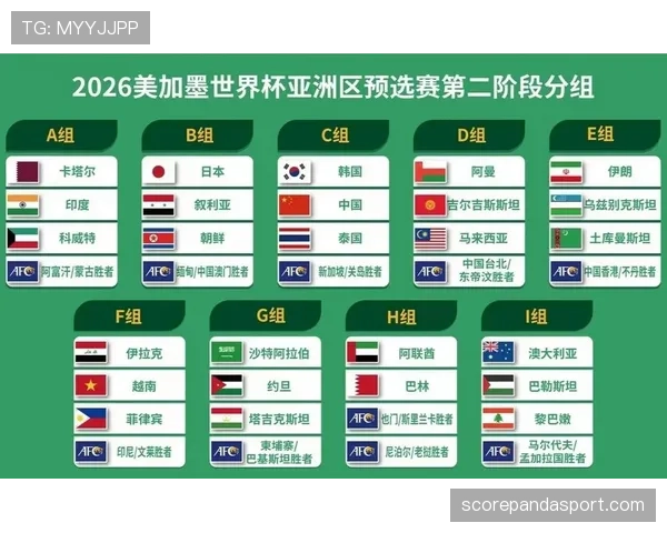 世界杯C组小组第一概率排行榜出炉