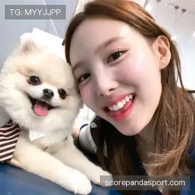 云维燕